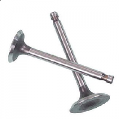 Engine valves